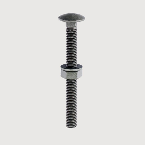 Carriage Bolt, Washer & Nut - Exterior Green