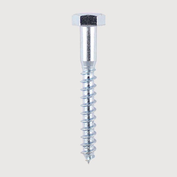 Coach Screw - Zinc