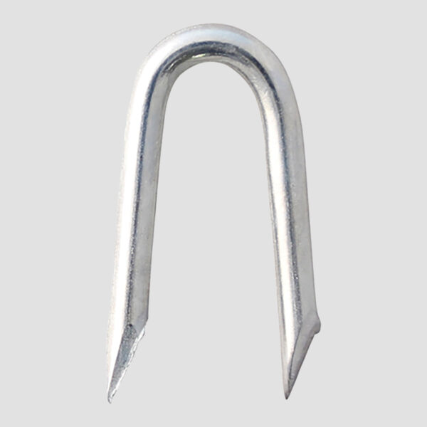Presser Point Staples - Galvanised