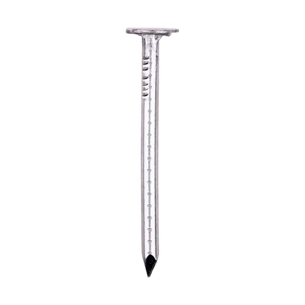 ACN26538_w1 Timco 38mm x 2.65mm Aluminium Clout Nail with large round head